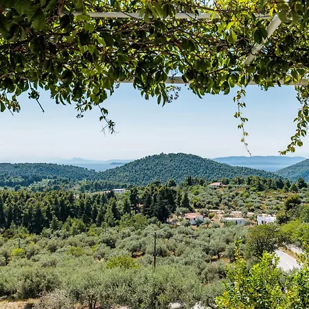 Althea Holiday home Panormos (Skopelos)